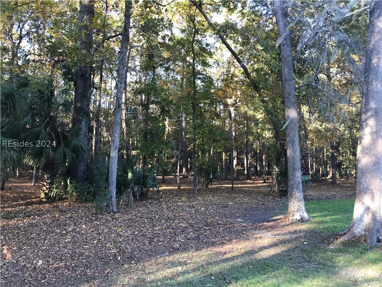 Charleston, SC Real Estate | View 1090 Haig Point Road | Listing