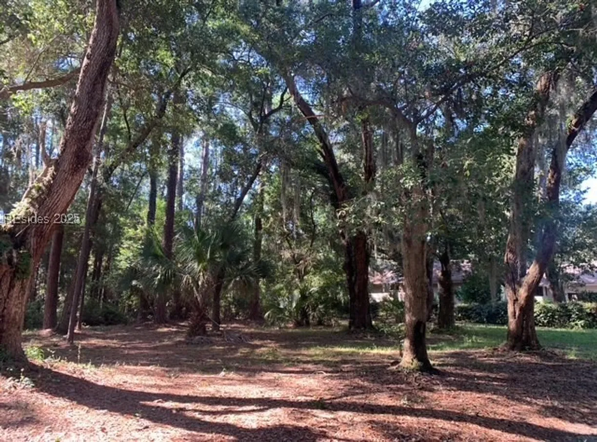 Charleston, SC Real Estate | View 24 Governors Lane