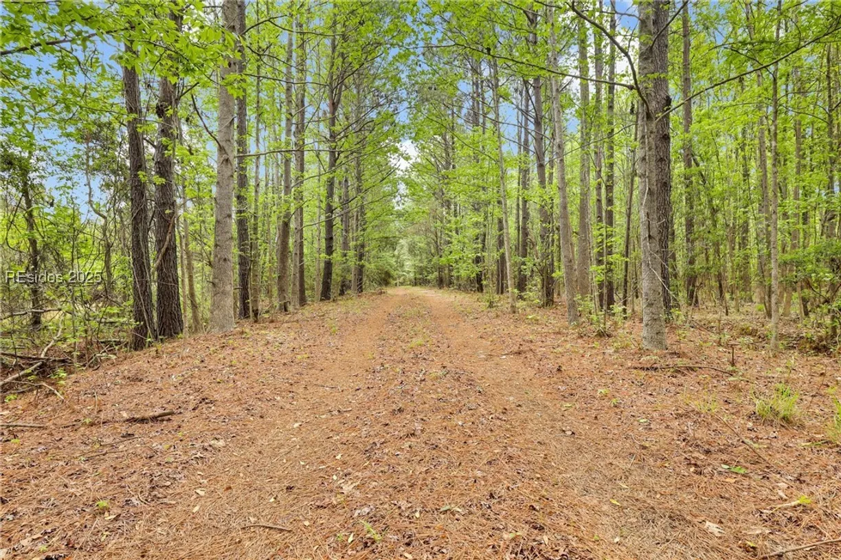 Savannah Real Estate | View 2070 Freedom Parkway