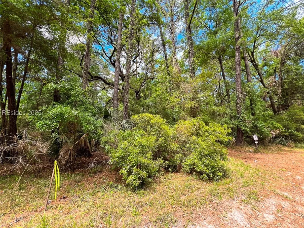 Charleston, SC Real Estate | View 259 Old Haig Point Road | Listing