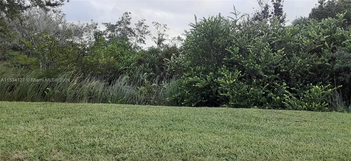 South Florida Real Estate | View 