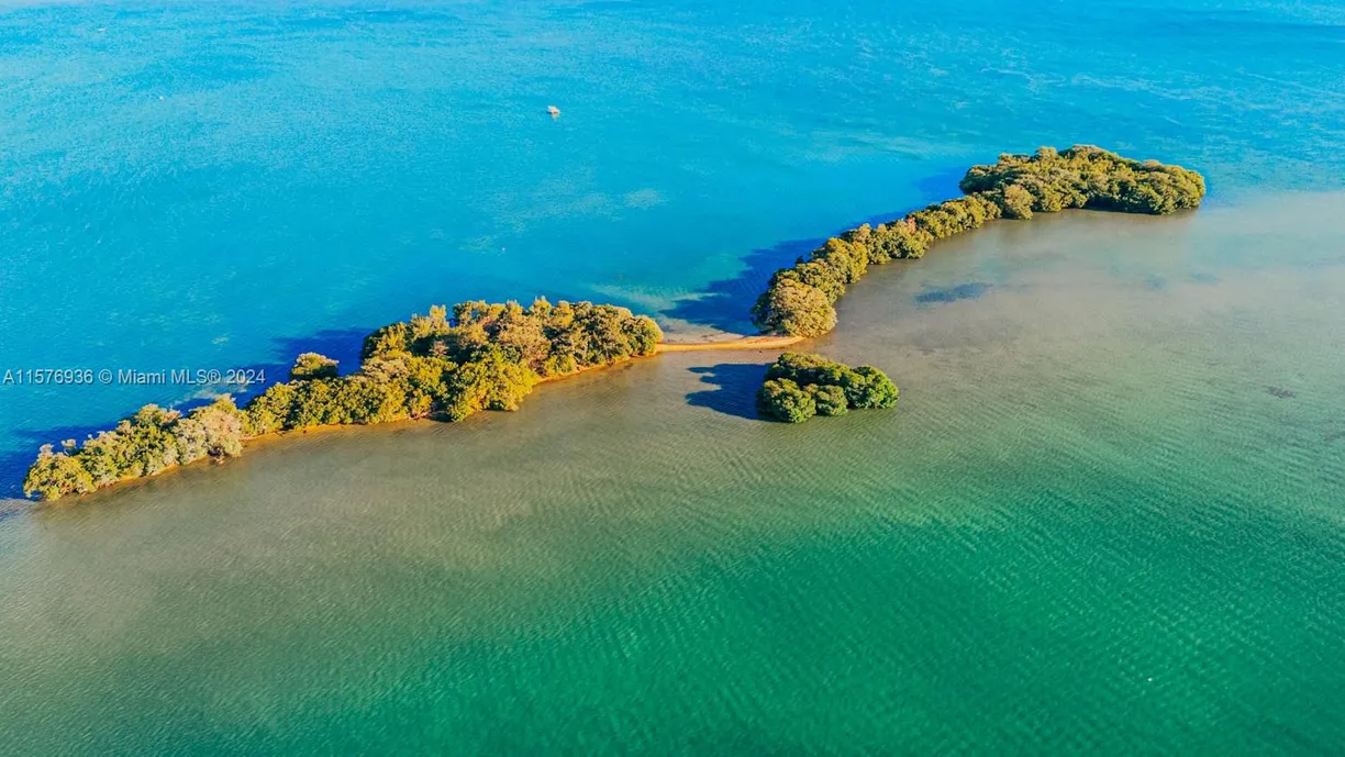South Florida Real Estate | View 1 BIRD KEY
