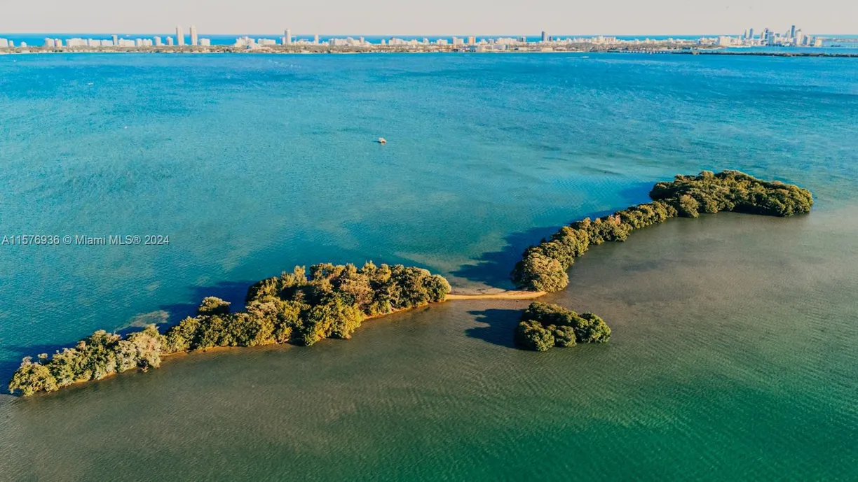 South Florida Real Estate | View 1 BIRD KEY | Listing