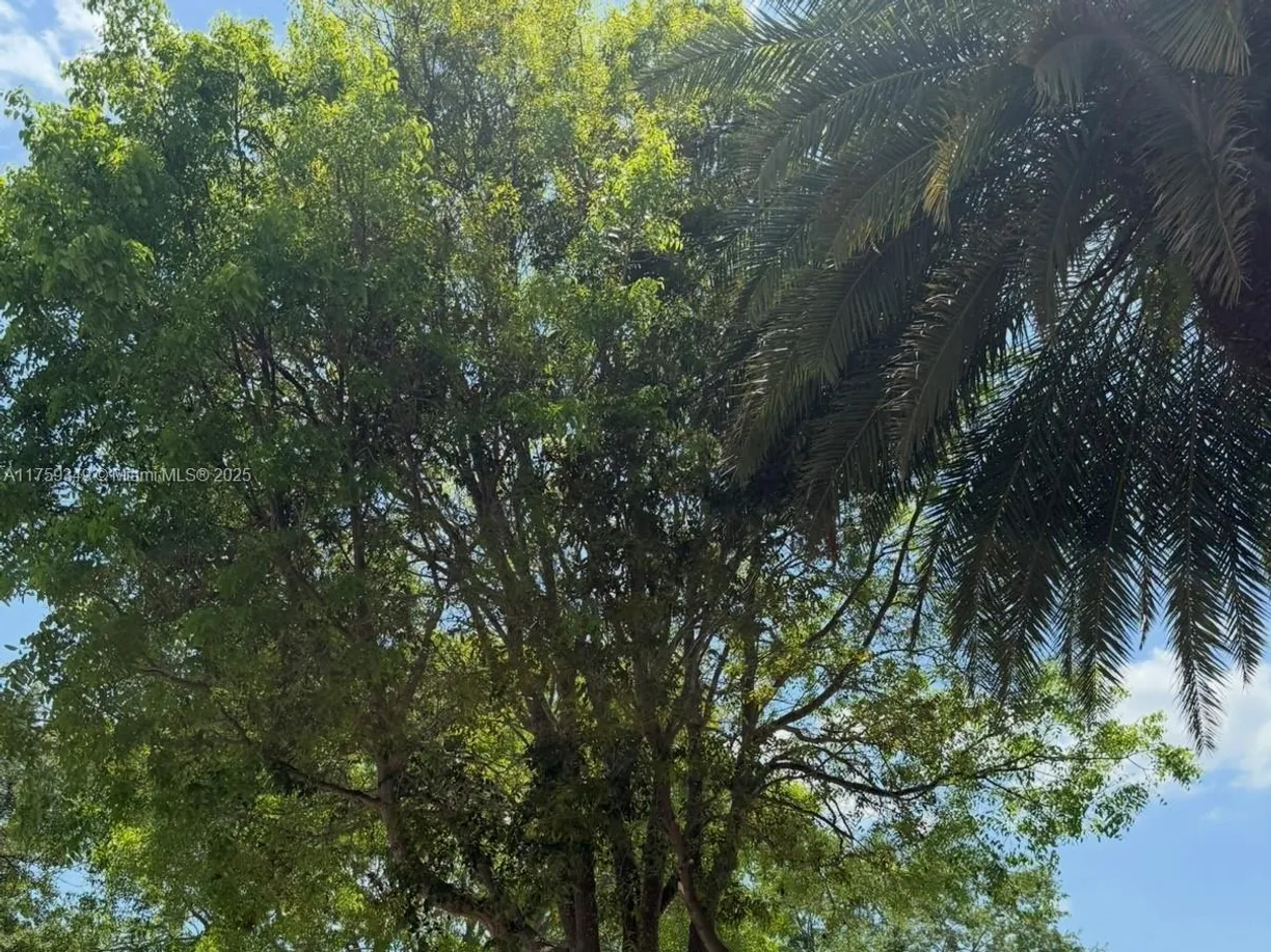 South Florida Real Estate | View 0000 San Pietro Cir