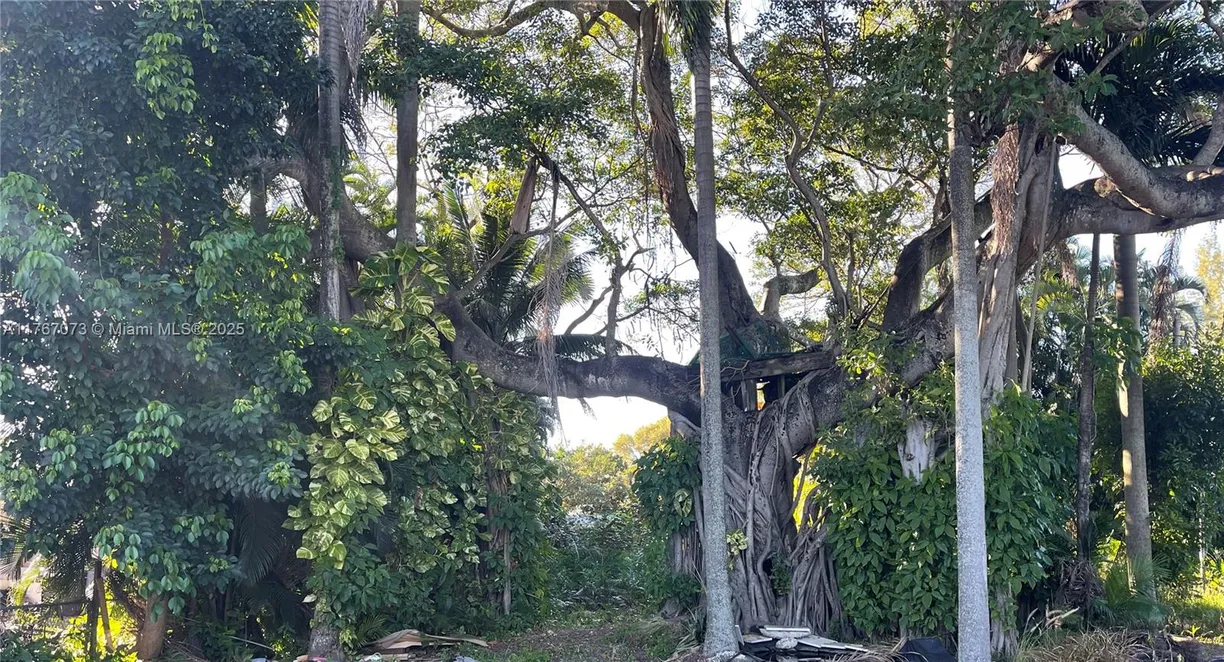 South Florida Real Estate | View 4681 SW 33rd Ave | Listing