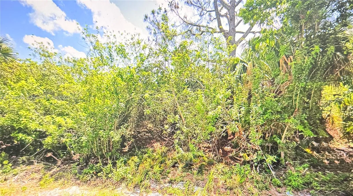 South Florida Real Estate | View 