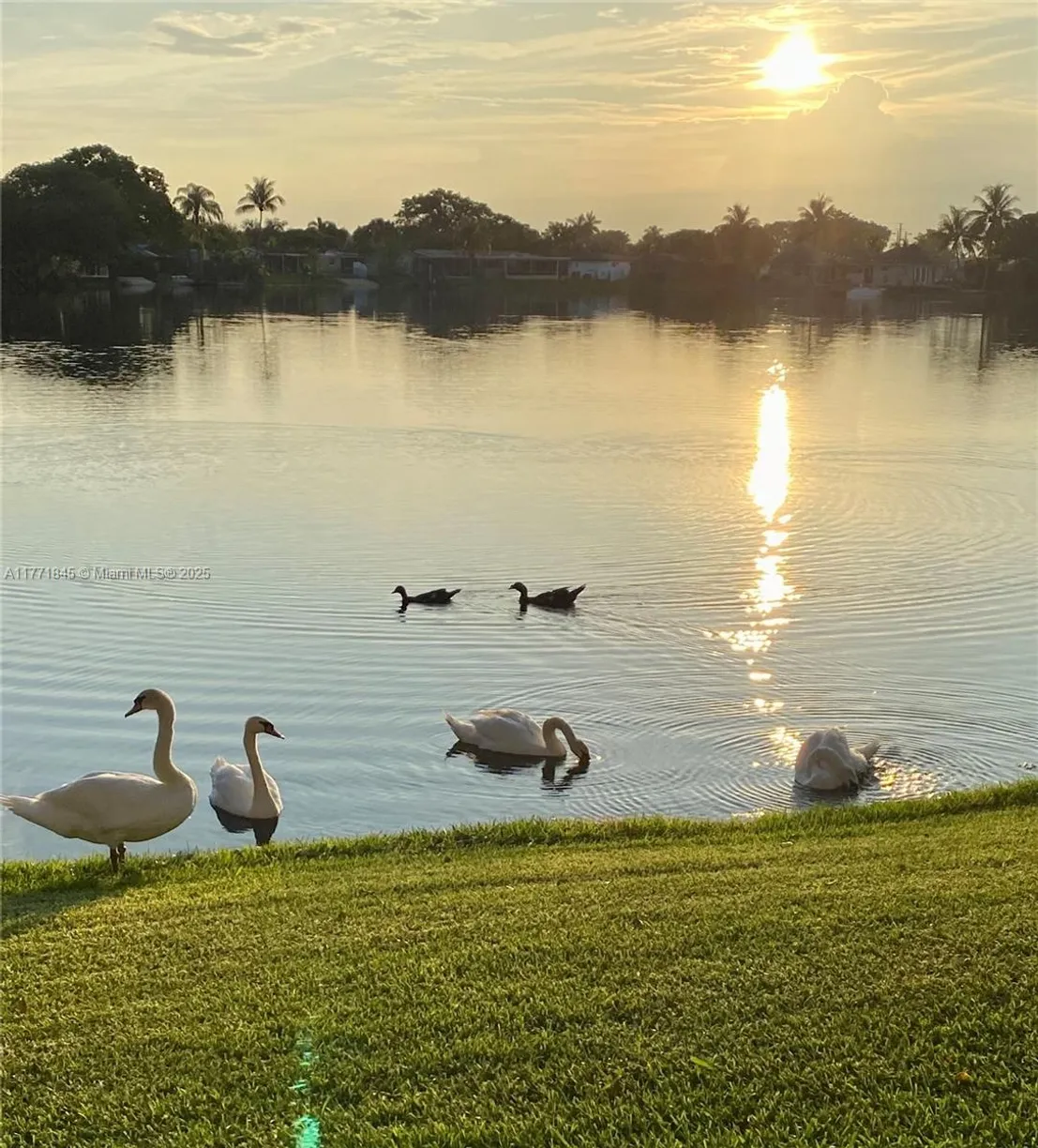South Florida Real Estate | View 2061 NW 96th Ter, 12N | 2 Beds, 2 Baths