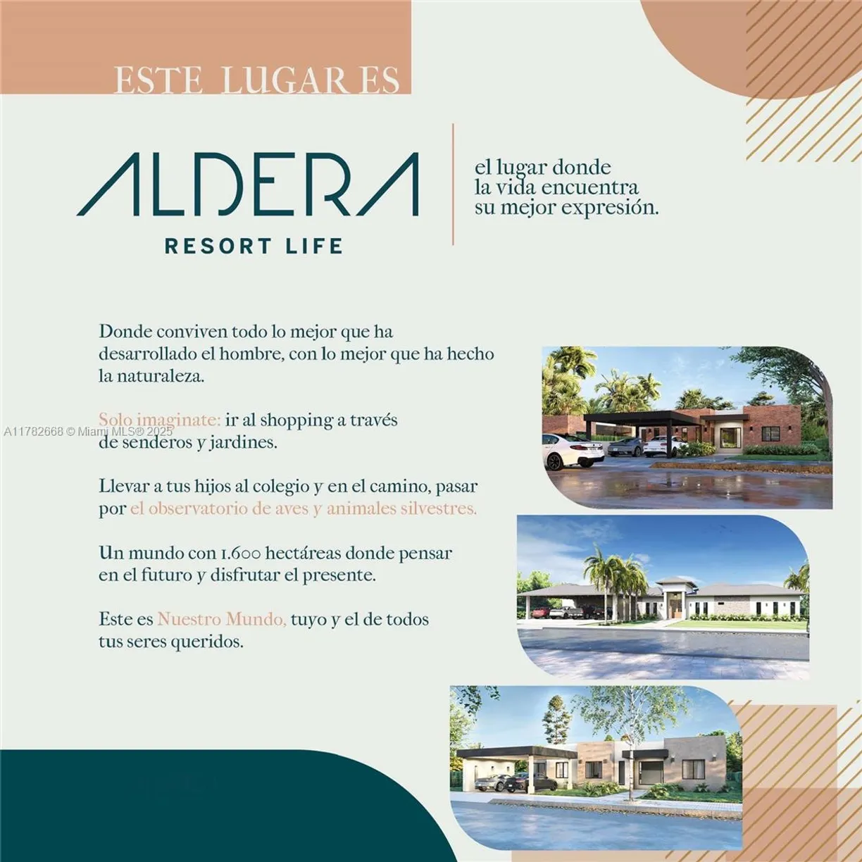 South Florida Real Estate | View 0 Ruta LuqueSan Bernardino | Listing