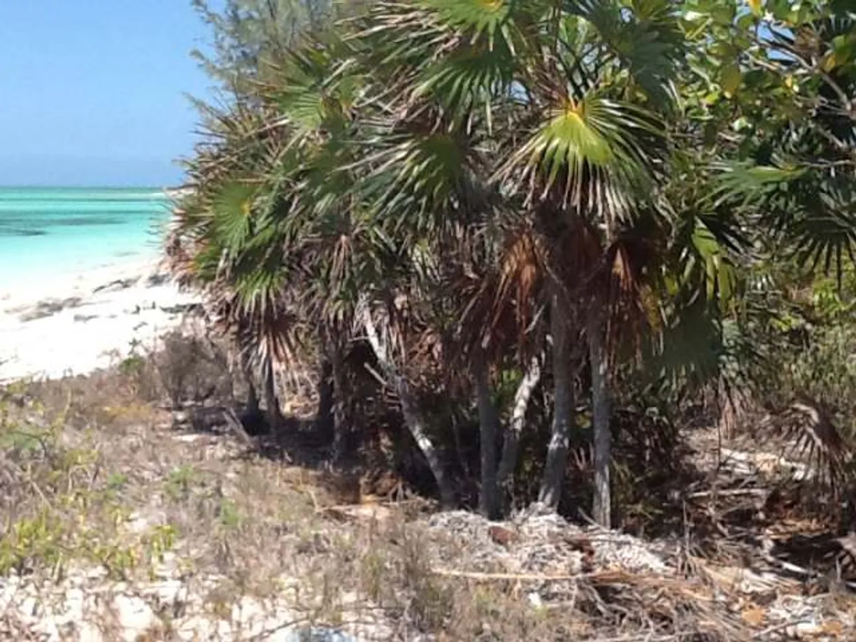 Turks and Caicos Real Estate | View WHITBY BEACH FRONT | Listing