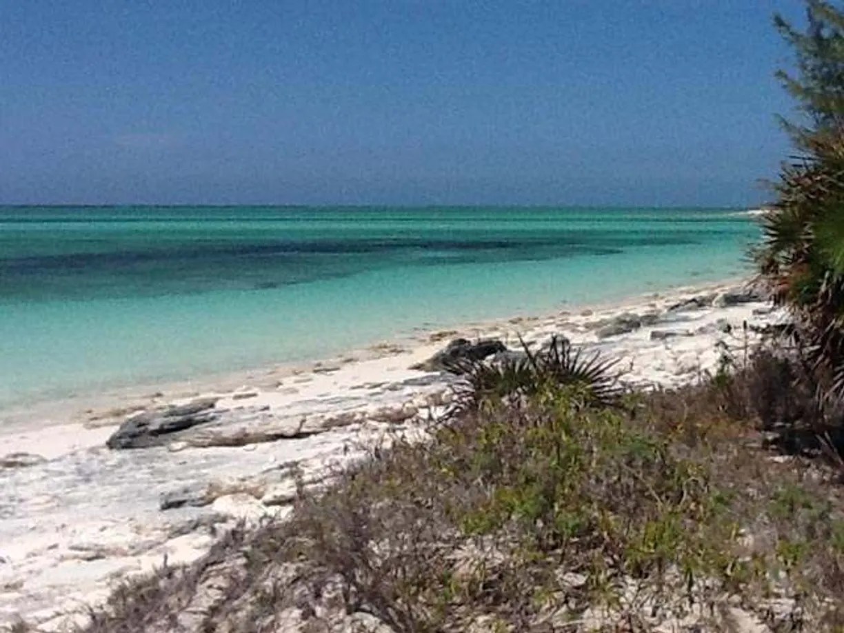 Turks and Caicos Real Estate | View WHITBY BEACH FRONT | Listing