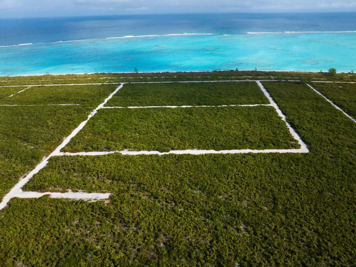 Turks and Caicos Real Estate | View LOT 131 WAVECREST WAY | Listing