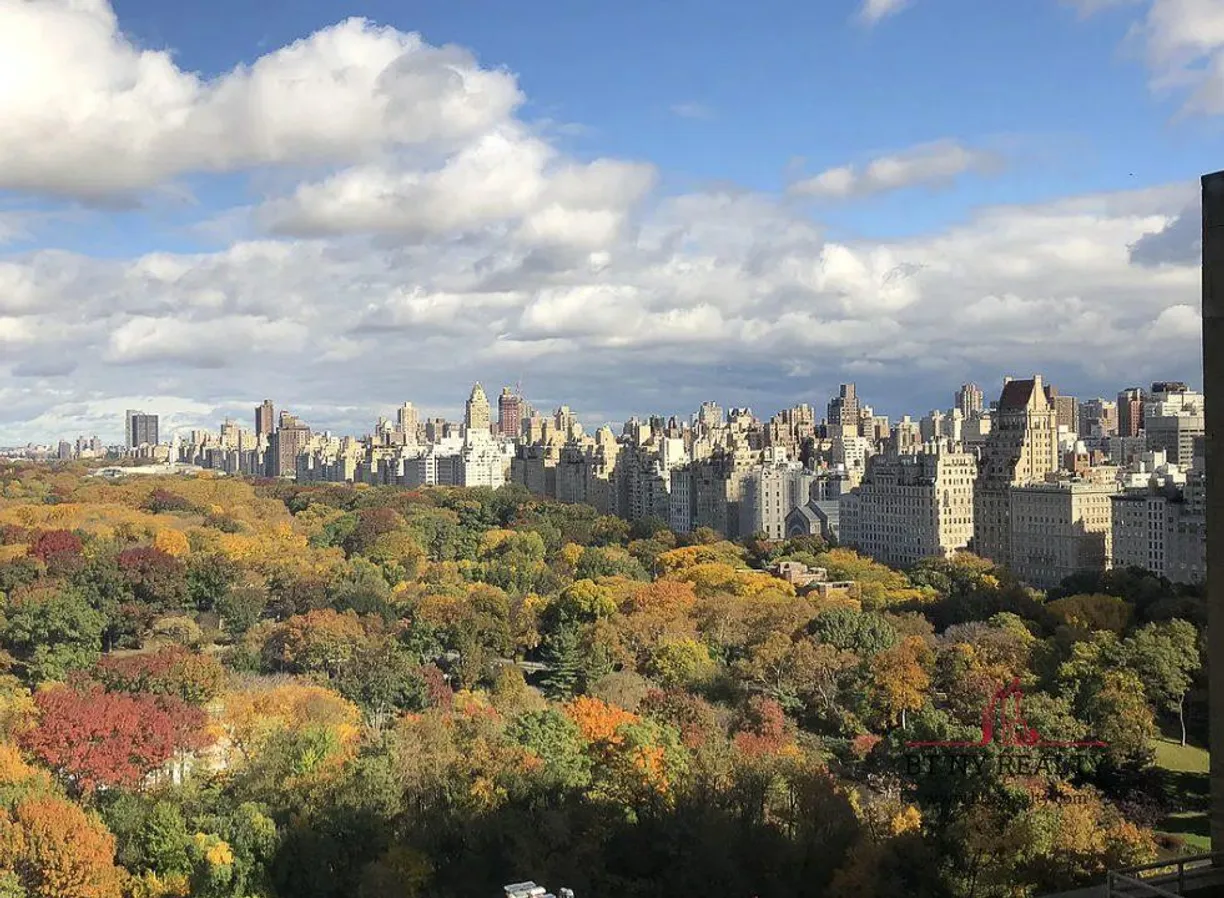 New York City Real Estate | View 160 Central Park S, 2118/2120 | room 1