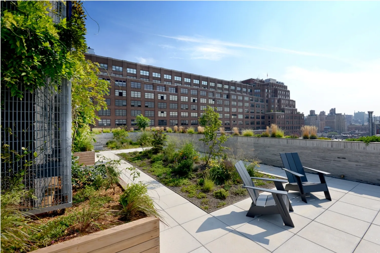 roof terrace
