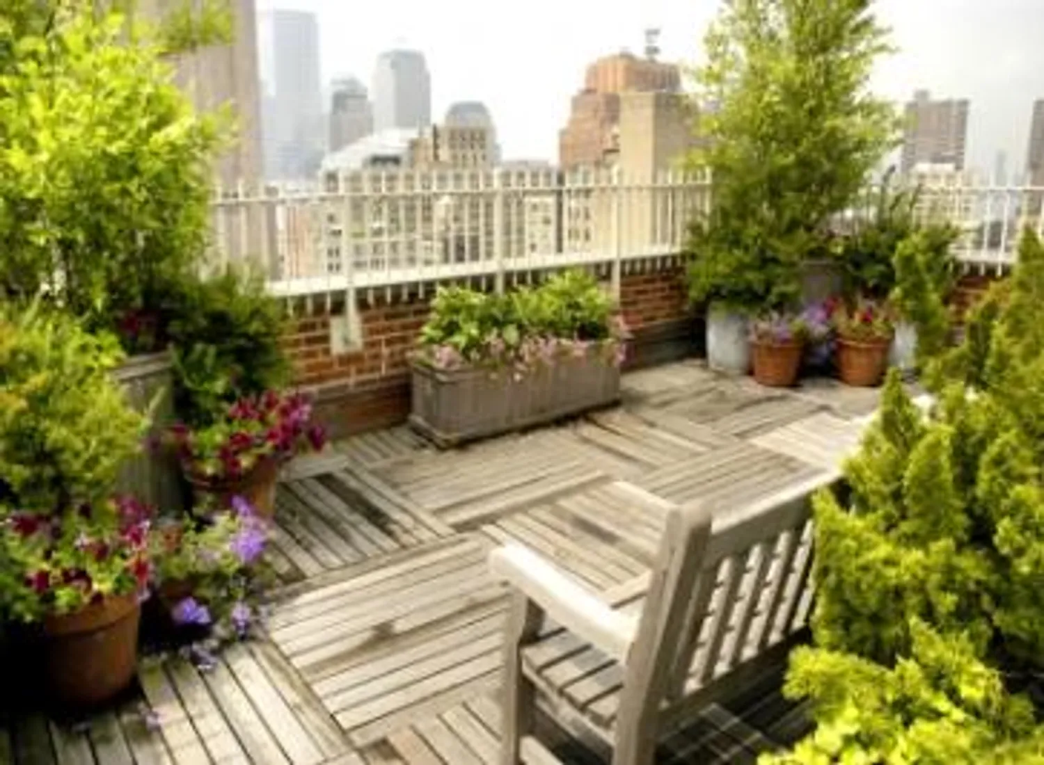 Planted Roof Deck