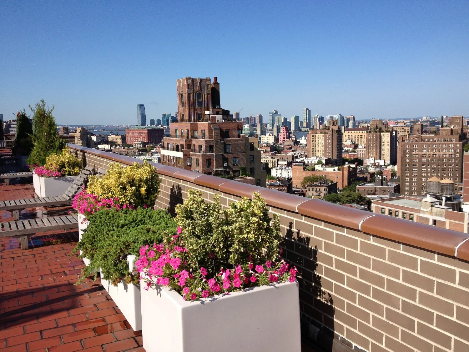 Roof Top Terrace