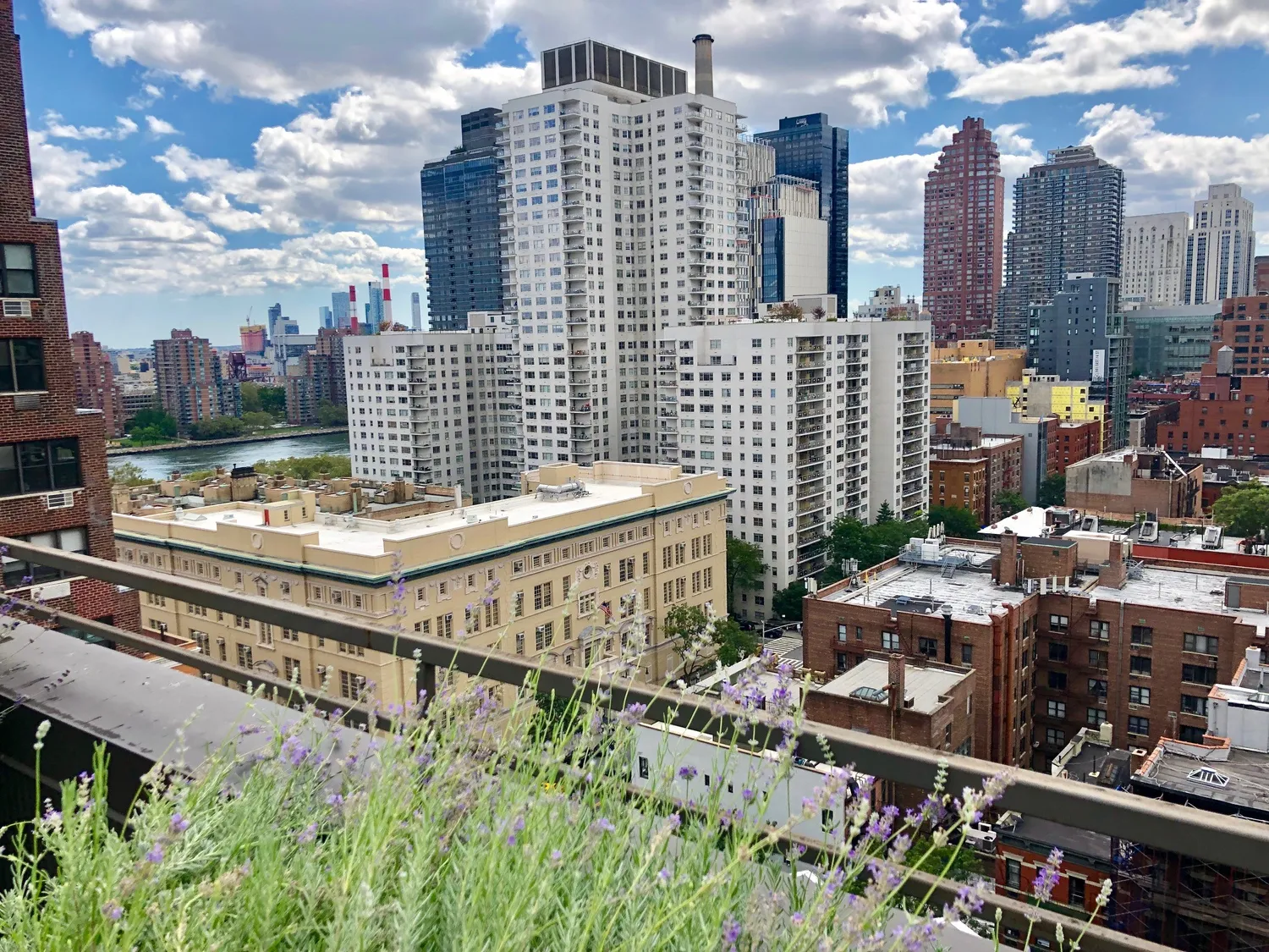 360 degree views of Manhattan skyline from roof.
