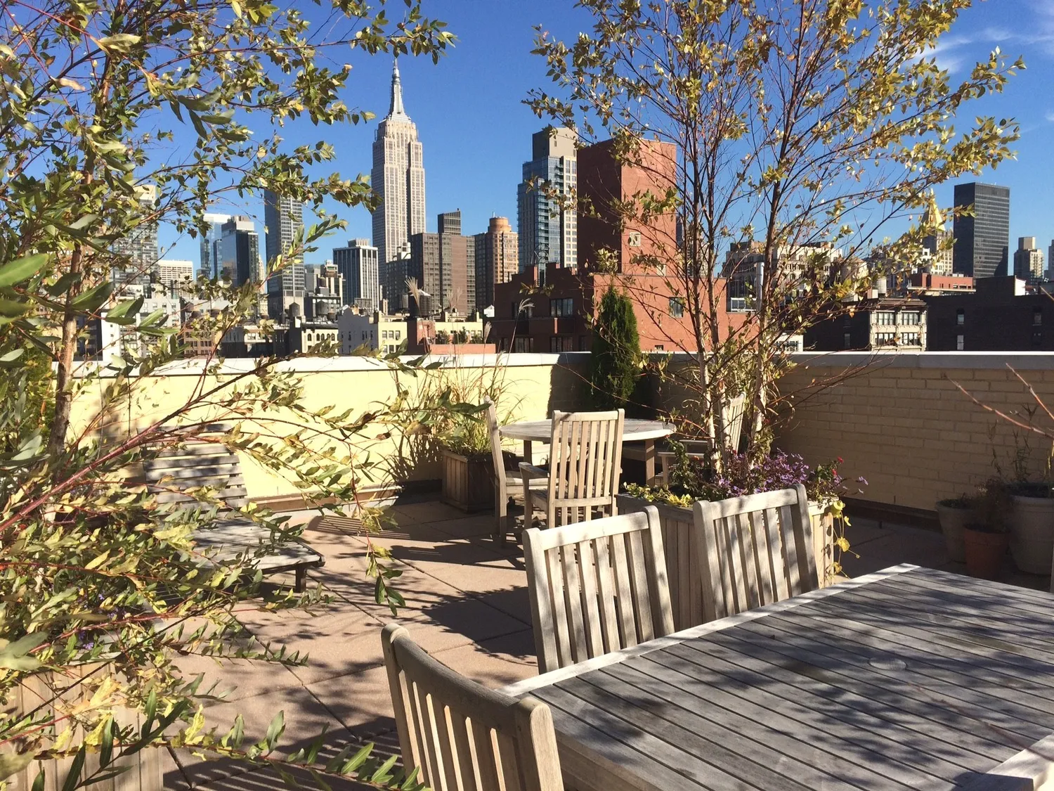 Planted Roof Deck