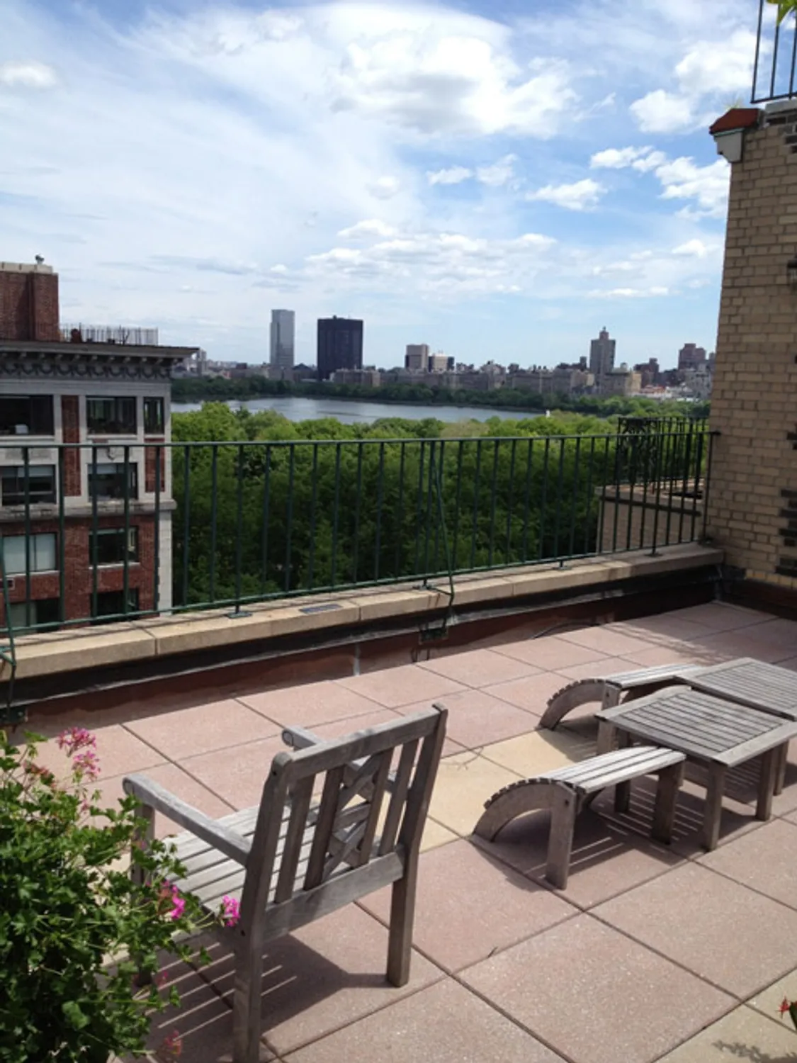 Panoramic park views from furnished roof deck.