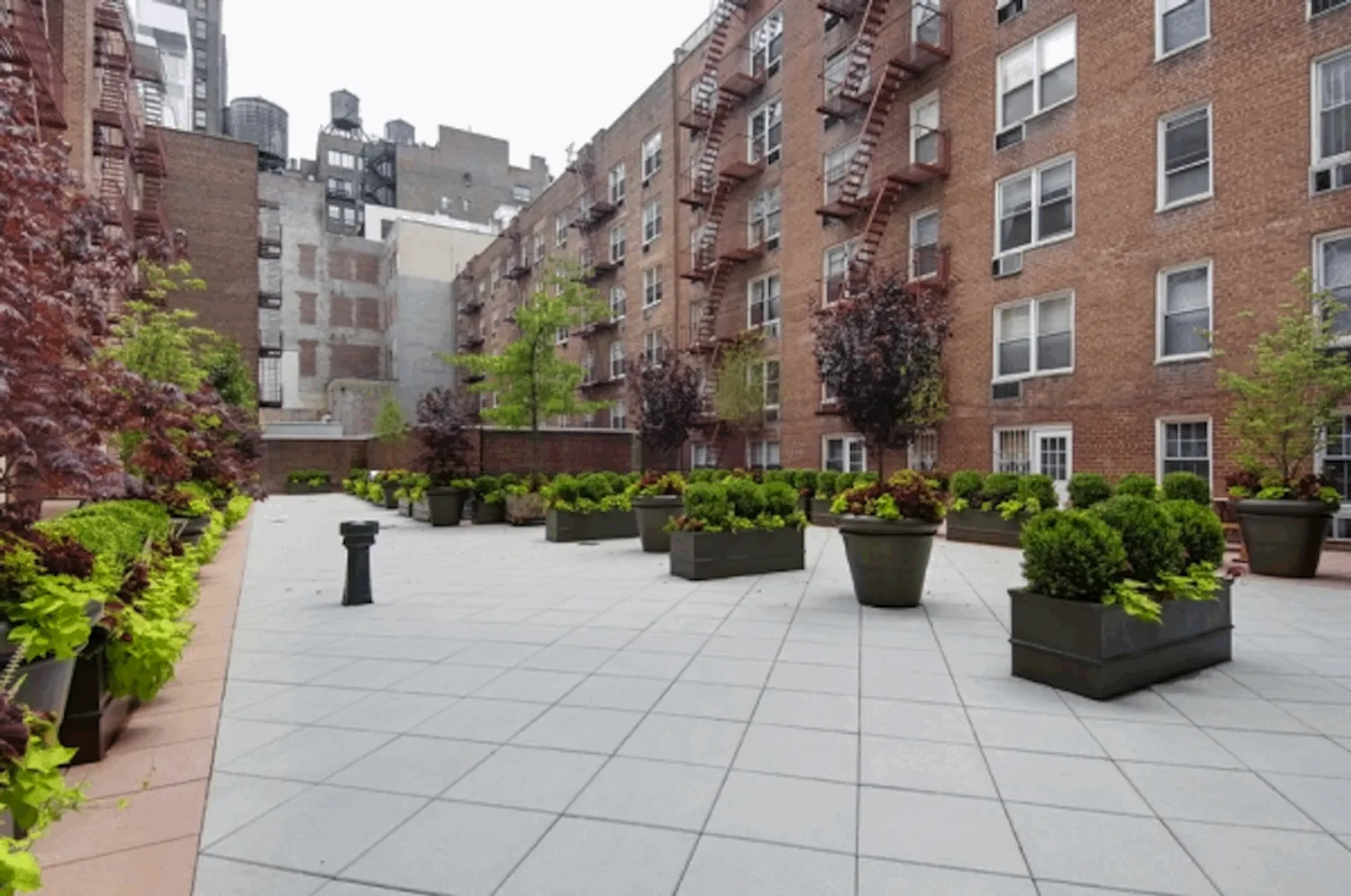 Beautiful common courtyard.