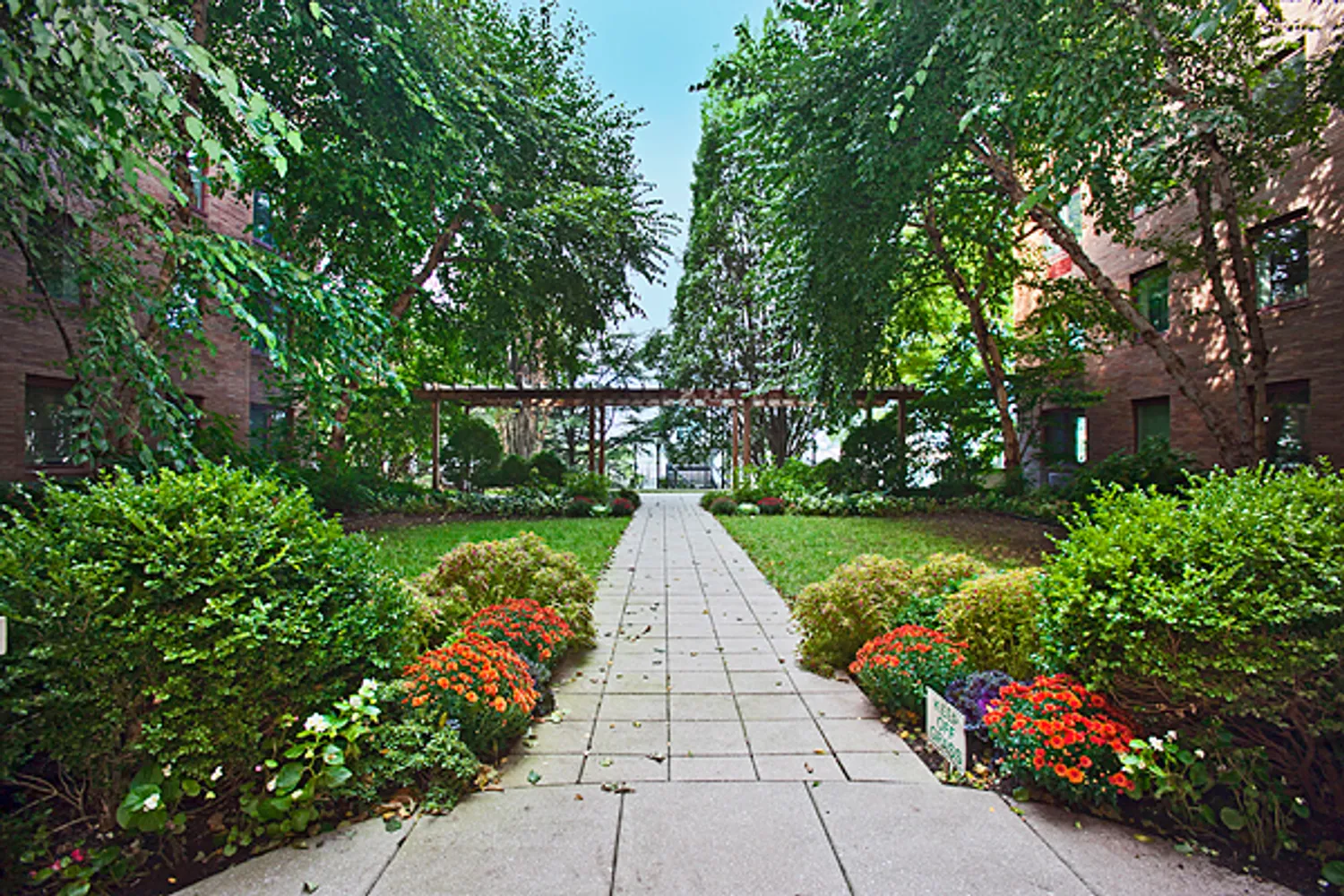 View 1