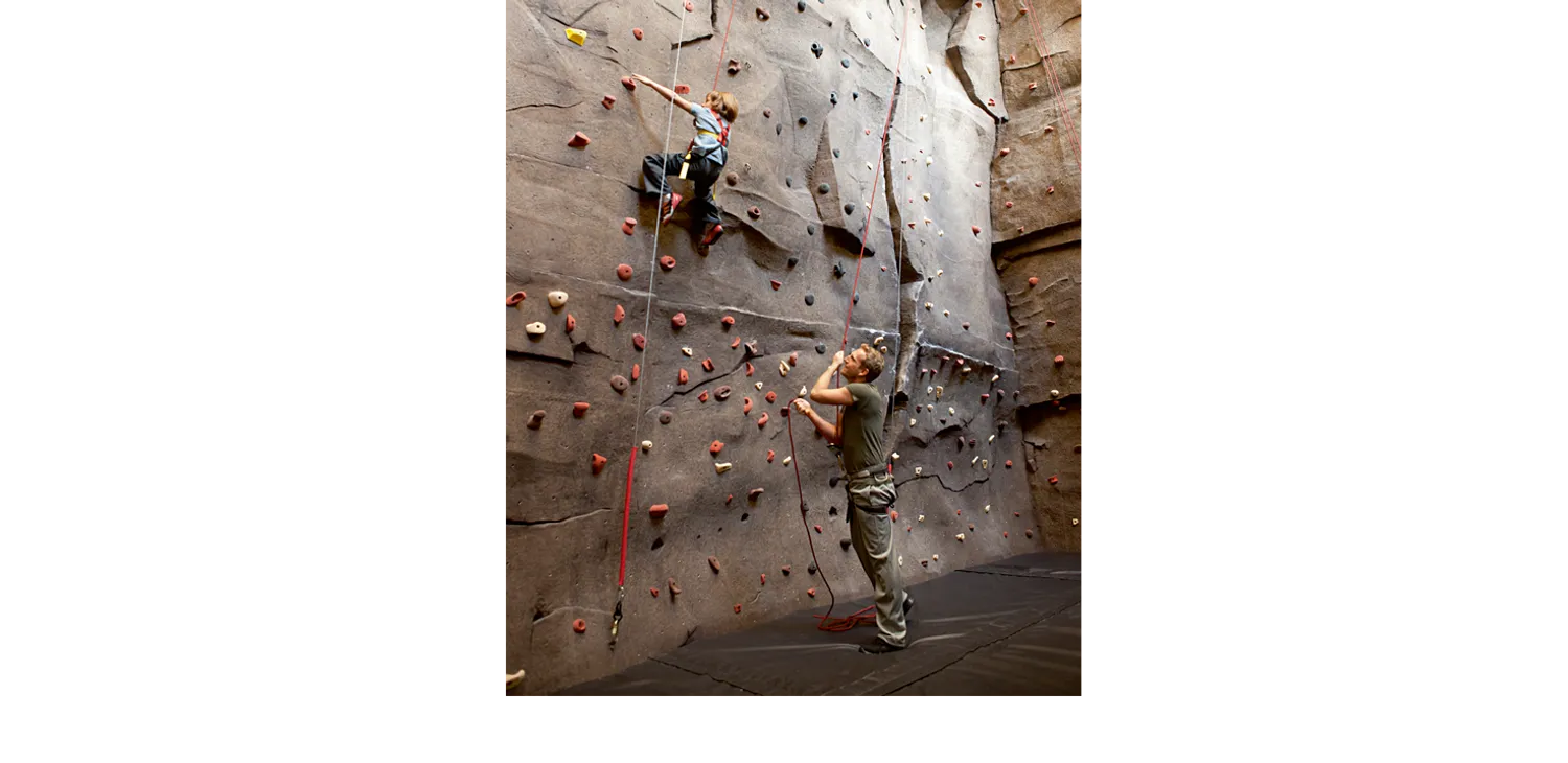 Rock Climbing Wall