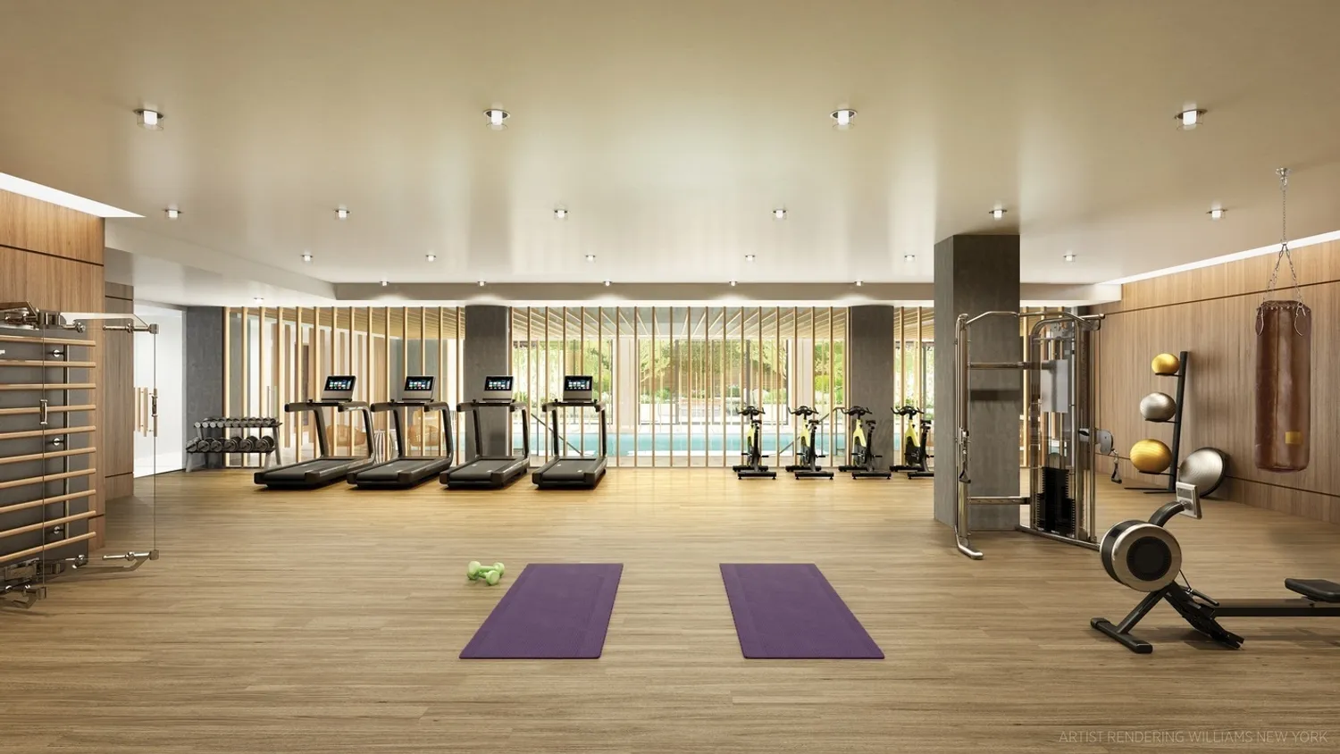 Huge State of the Art Gym