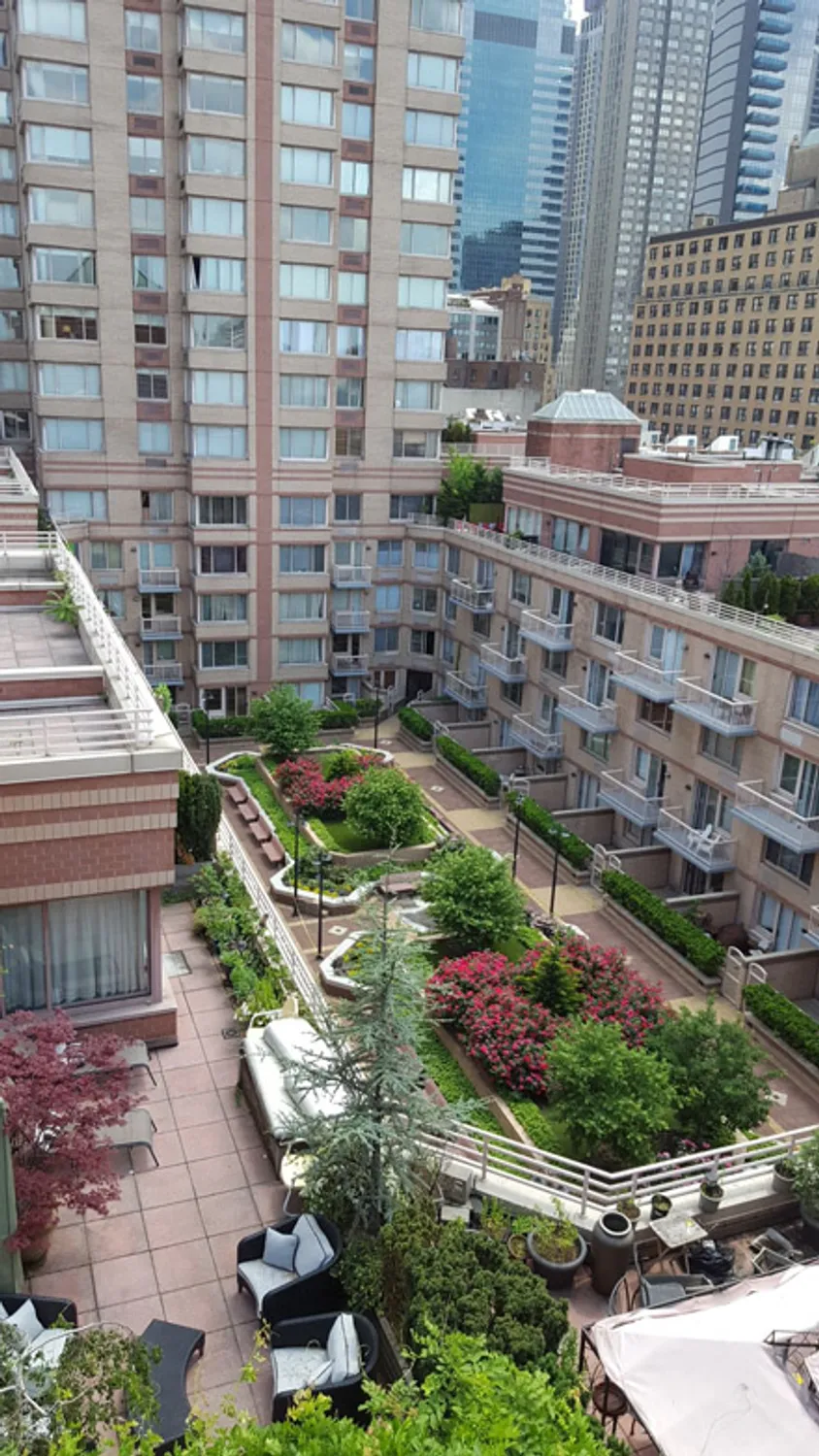 Central Garden as seen from shared Roof Terrace