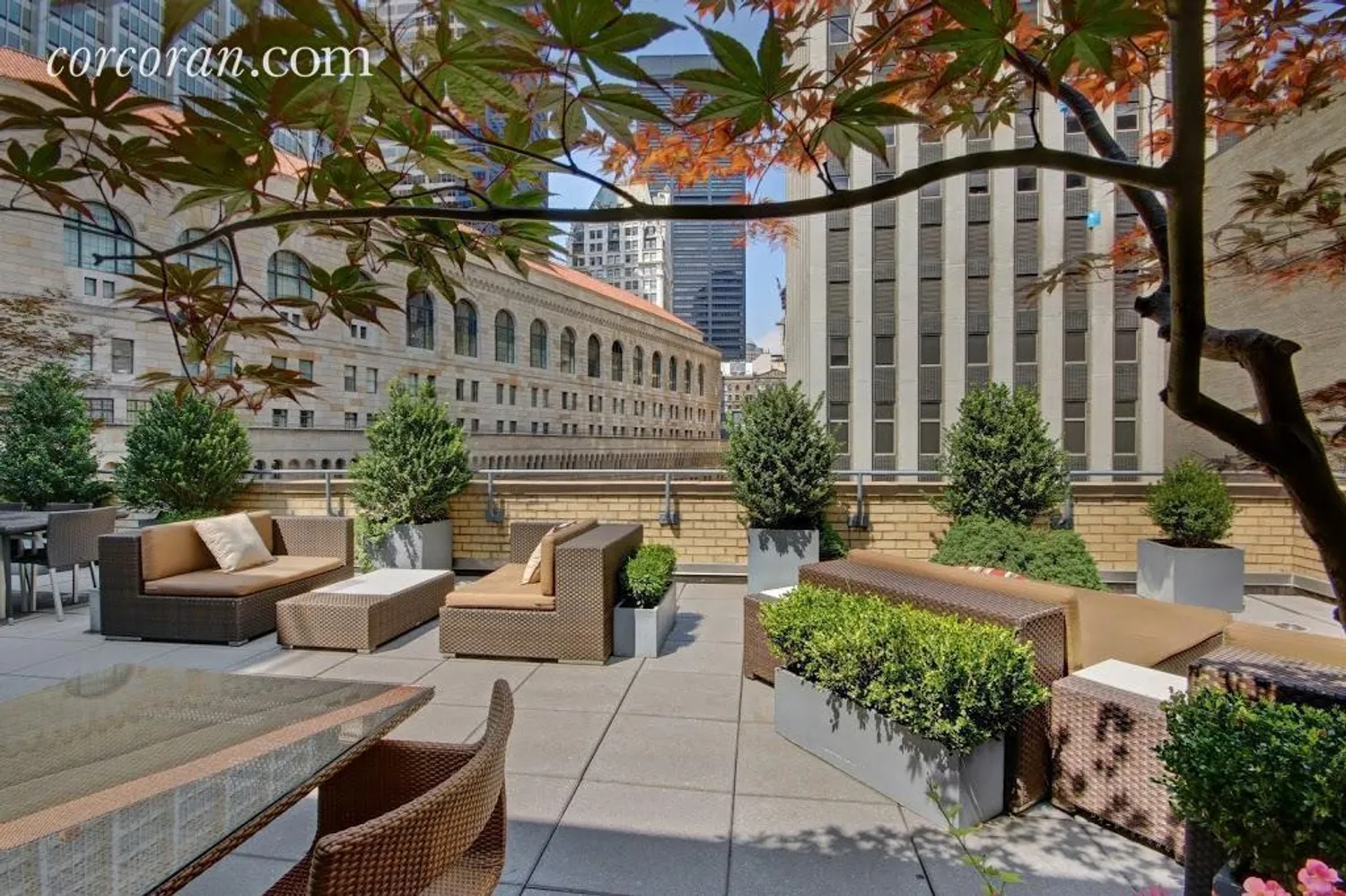 Roof terrace
