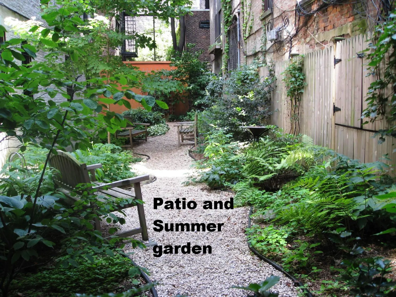 Patio & Summer Garden