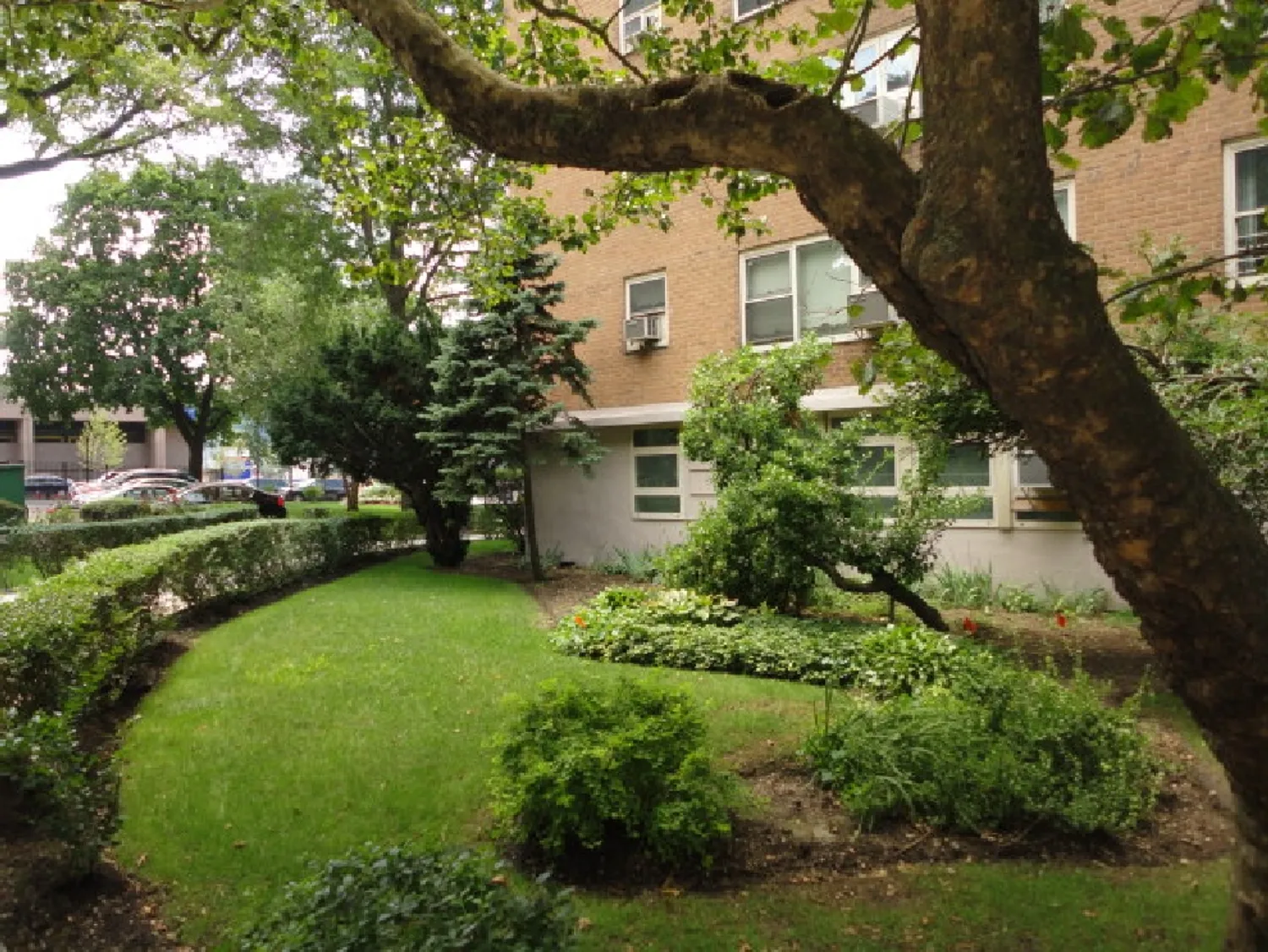 Kingsview Homes 115 Ashland Place, Brooklyn Corcoran