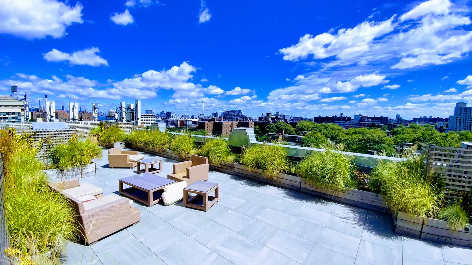 Renovated  Landscaped Roof Deck 