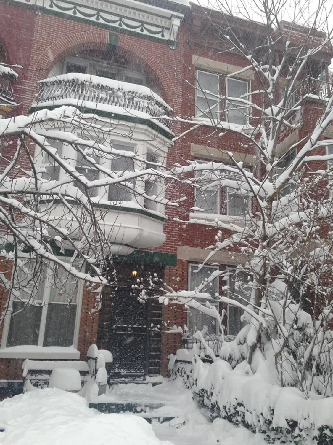 Snowy 149 Milton Street