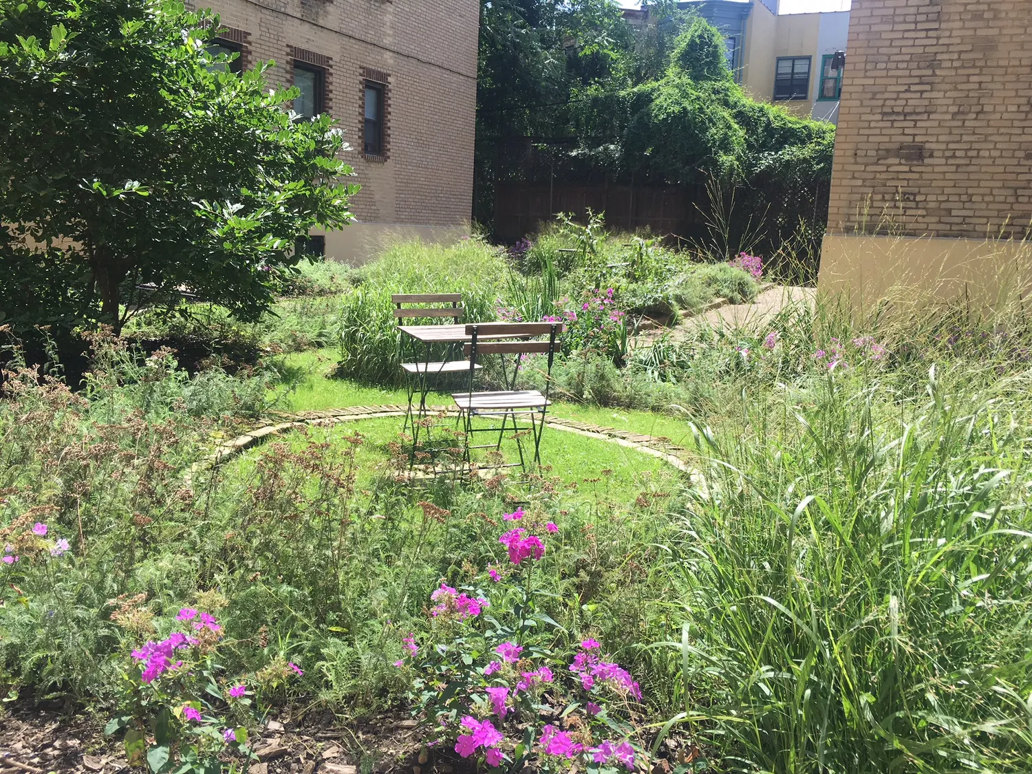 gorgeous common garden