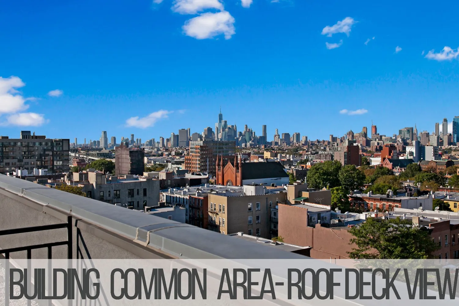 Common Roof Deck View