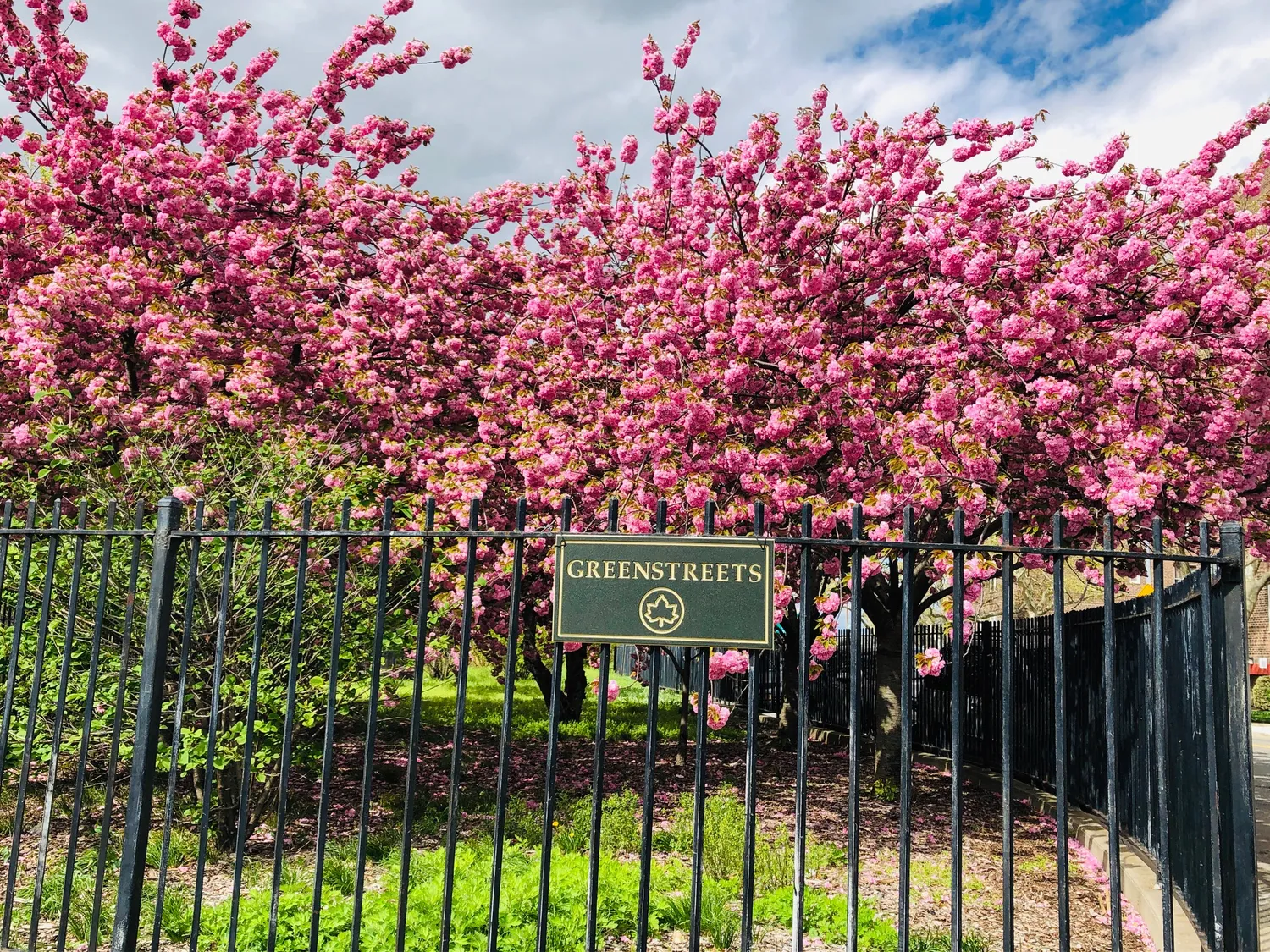 Greenspaces & Narrows Botanical Garden Nearby