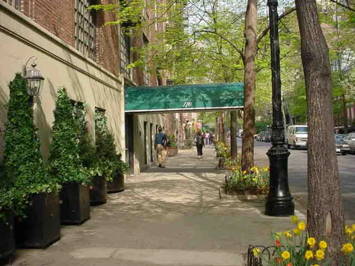 Spring's blossoming trees and flowers