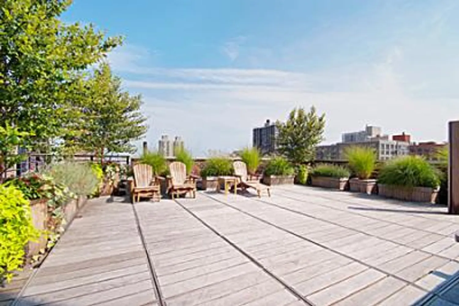 Beautiful common roof deck