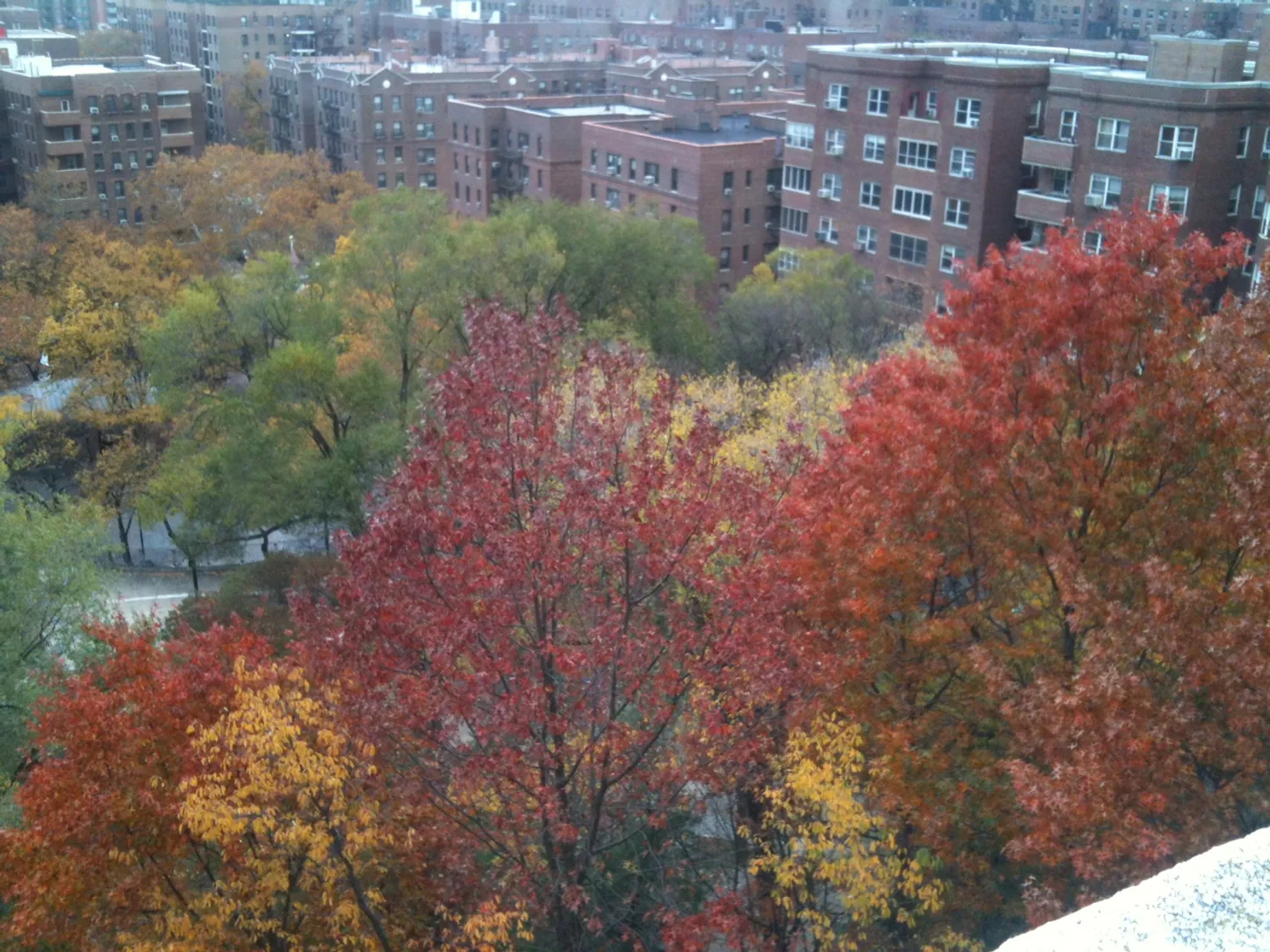 View from the roof deck Nov. 2014