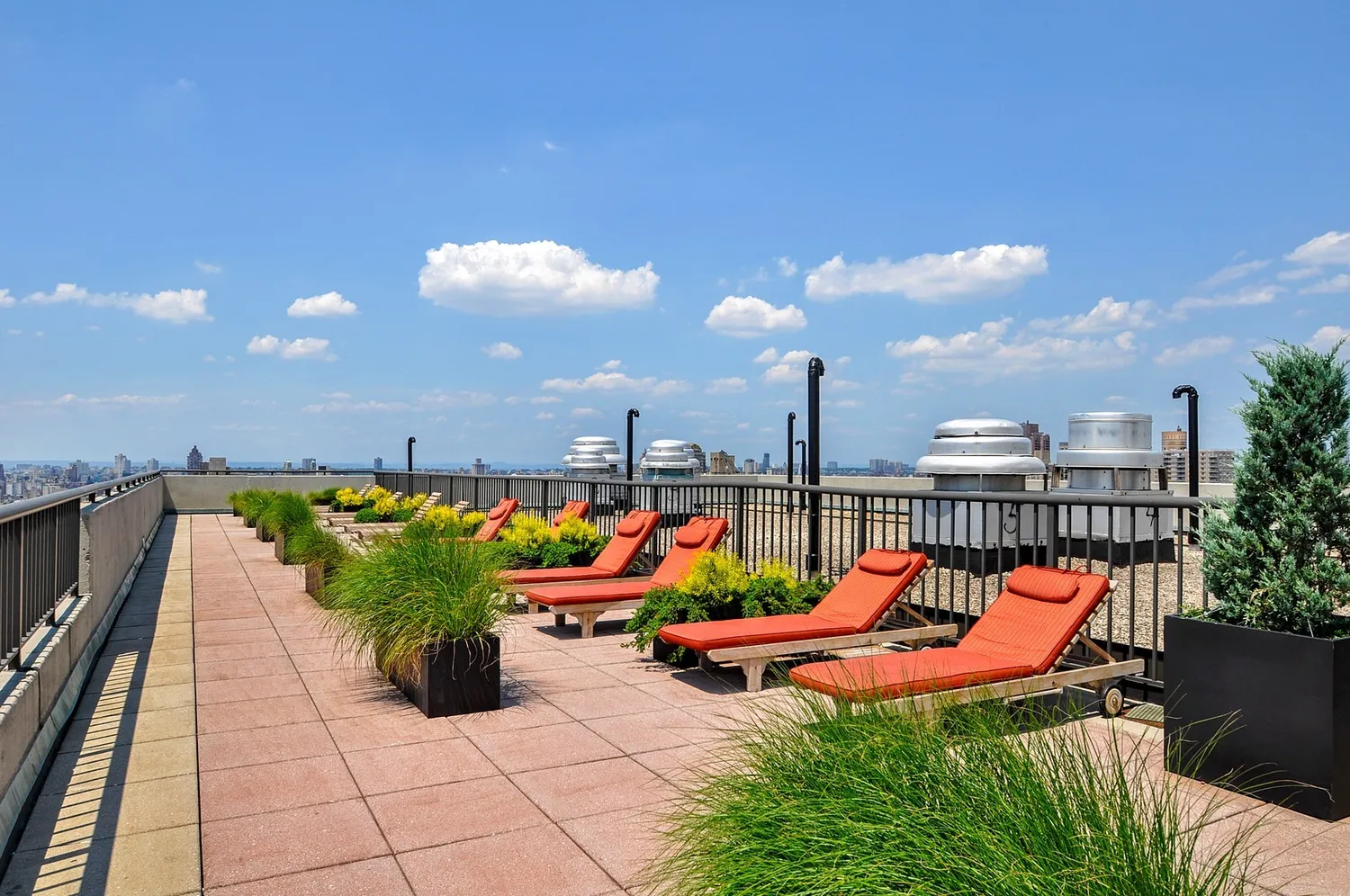 Roof Deck & Roof Garden