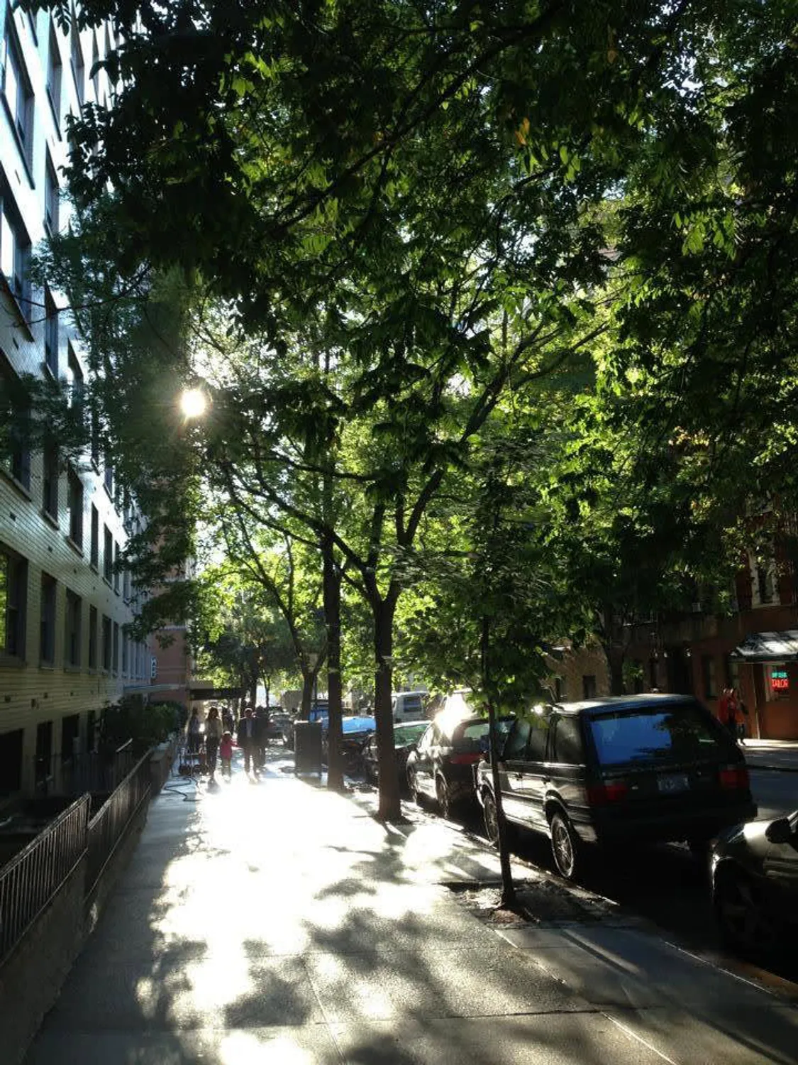 Street View-Tree lined block