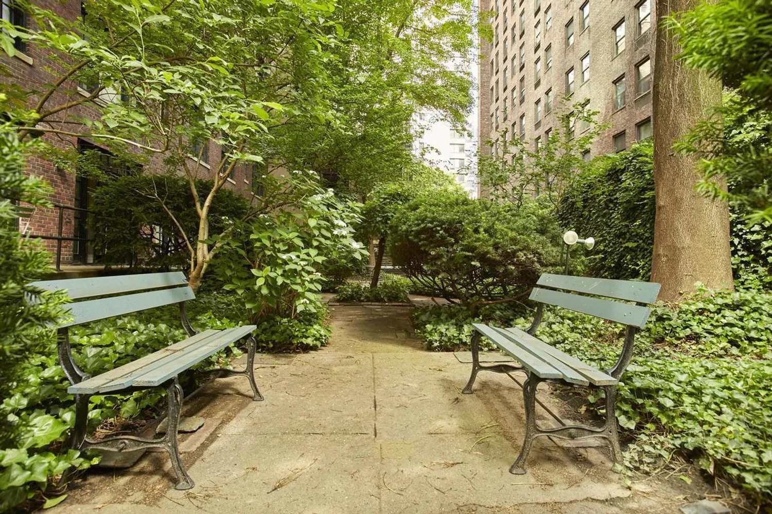 The quiet common courtyard has lush plantings.