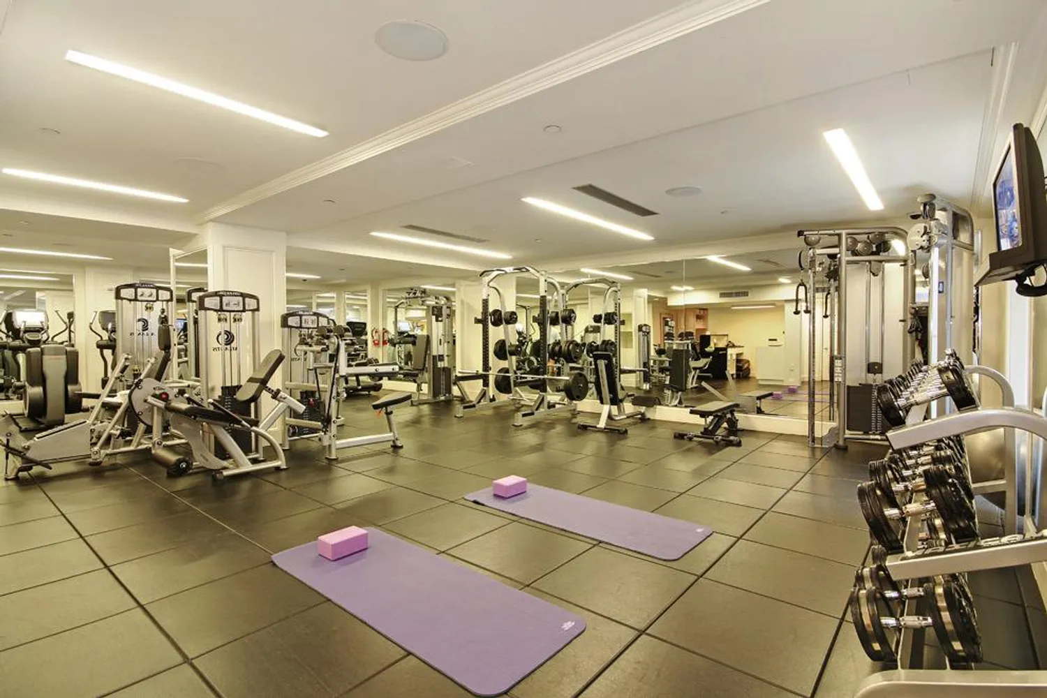 Fitness center powered by Punch Fitness