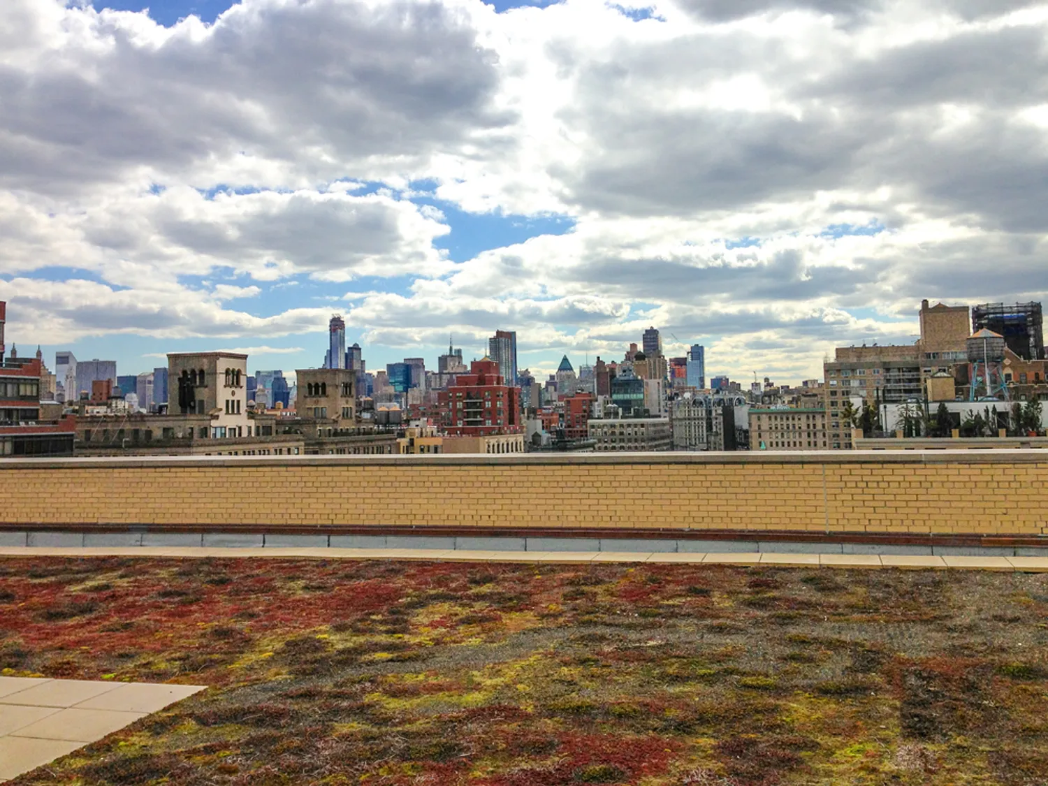 Newly Redesigned Roof Garden