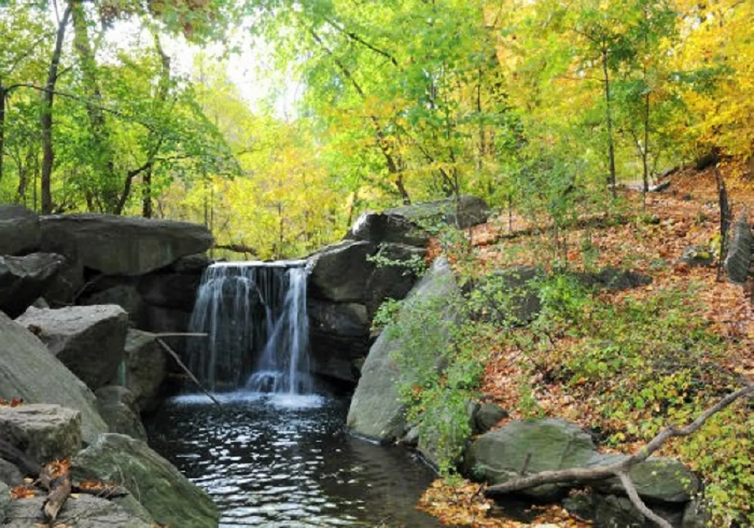 Central Park's North Woods