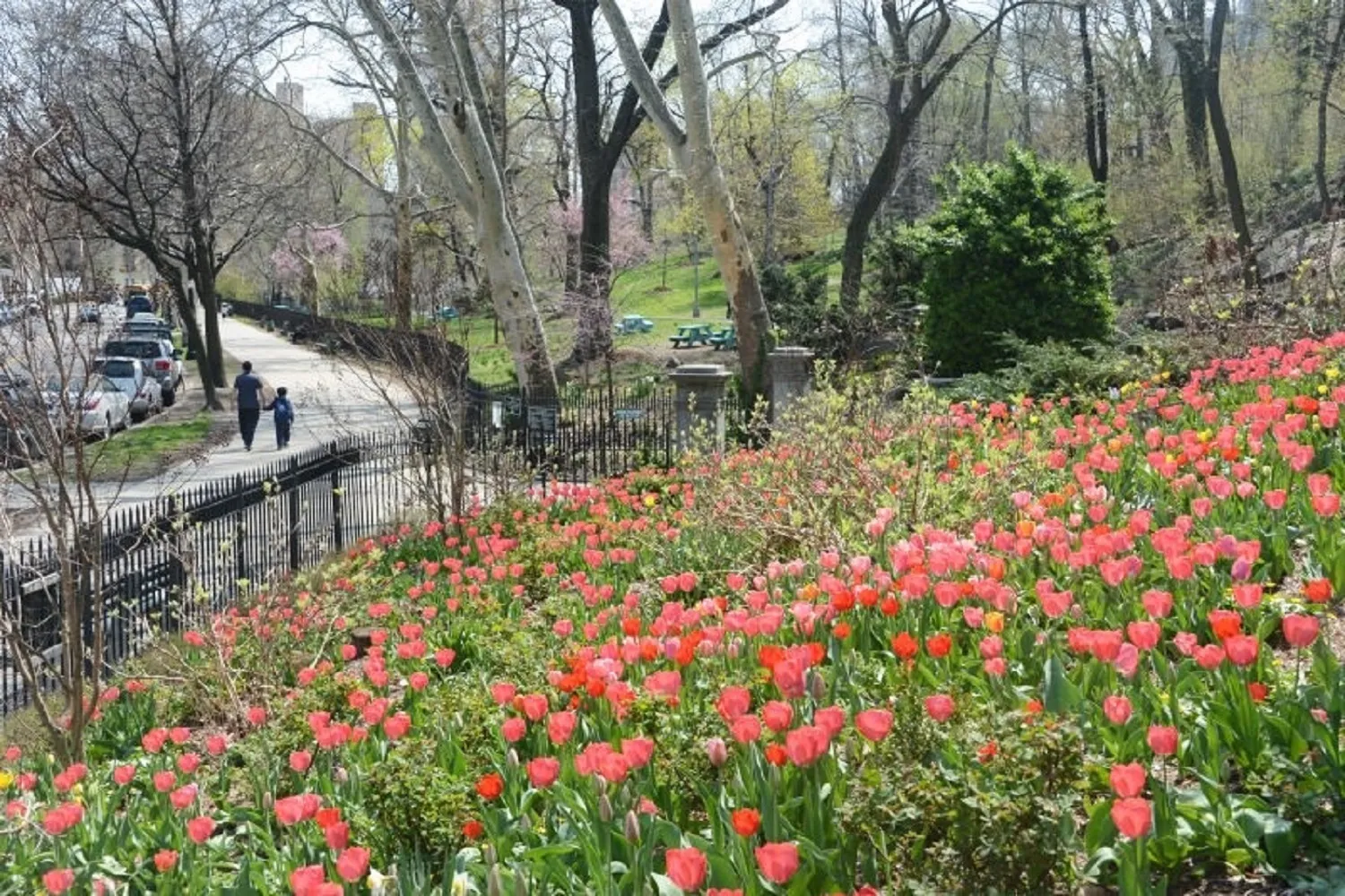 Morningside Park - early Spring