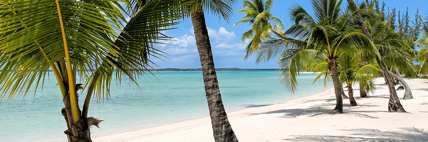 banner image for Harbour Island