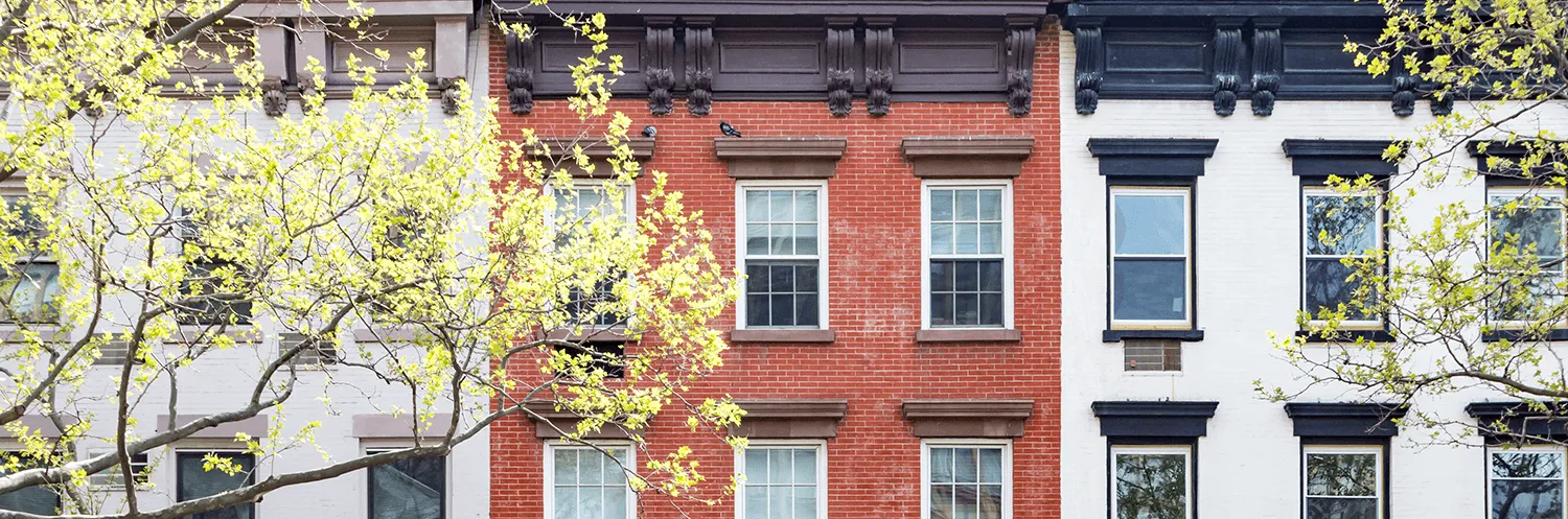 banner image for Bedford-Stuyvesant