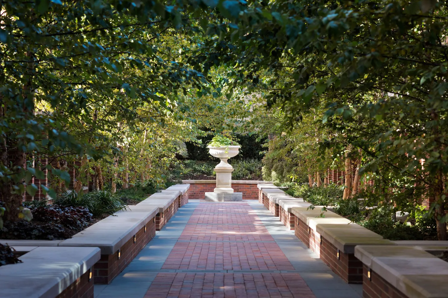 Garden with birch allee and limestone benches