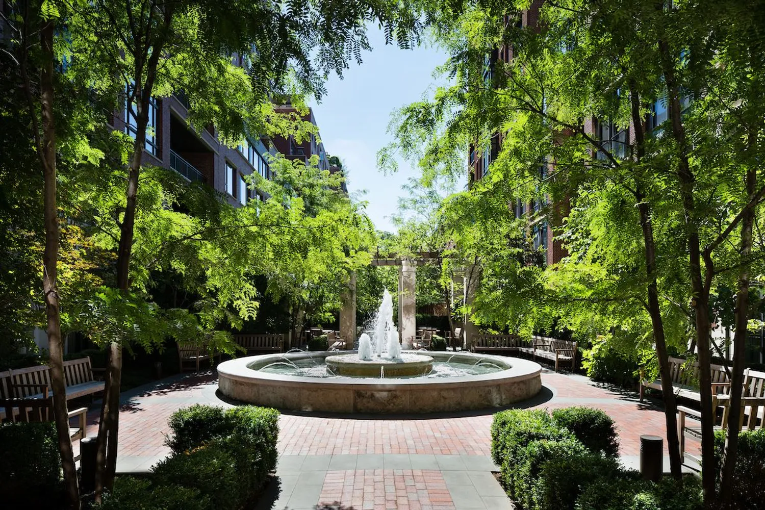 Private garden with reflecting pool