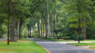 Eastover/Myers Park